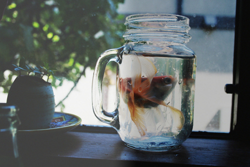 tumblr_ldkvz4ERwV1qagwh5o1_500